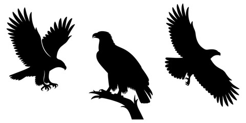 Flying eagle silhouette vector illustration ideal for bird, animal, or wildlife designs, tattoos, and nature-inspired art