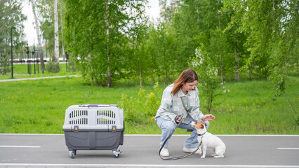 Owner walks Jack Russell Terrier and carries cage for safe travel.