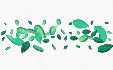 green_leaf_transparent_background194.eps