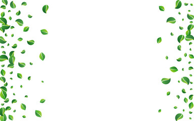 Green_Leaves_white_background_687.eps