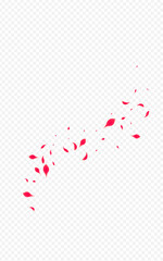 Pink_Petal_Flying_Vector_Transparent_1342.eps