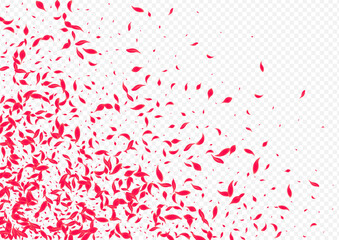 Pink_Petal_Flying_Vector_Transparent_159.eps