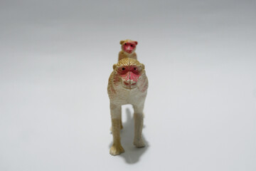 Close up of miniature wild animal free copy space isolated white background