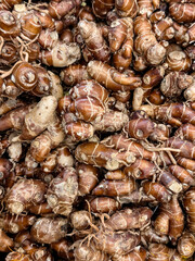 Jerusalem artichokes in a farmers market