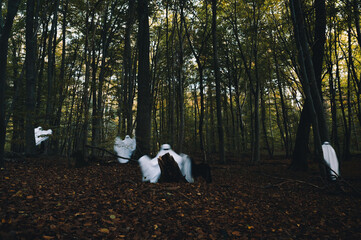 Ghosts in the Forest, Halloween, 