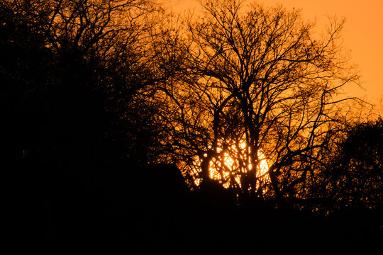 sunset in africa