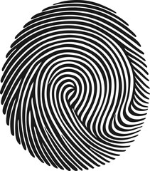 Detailed Fingerprint Pattern &ndash; Unique Biometric Security Illustration