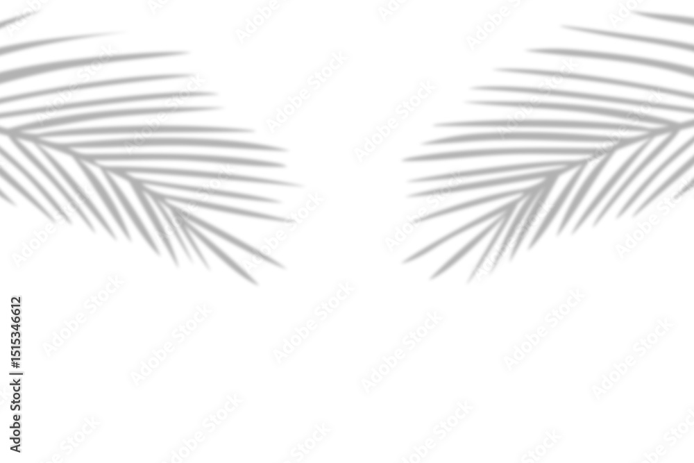 Poster realistic palm leaf and coconut branch leaves shadow overlay effect on transparent background for tr