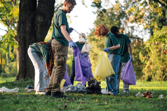 Group of young volunteers collecting garbage in park - Powered by Adobe