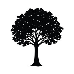 Fototapeta premium vector tree silhouette