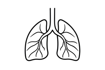 Lungs line art medical illustration respiratory system anatomy