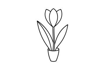 Simple line art drawing of a tulip in a pot
