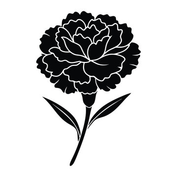 carnation flower icon with soft, frilly petals. silhouette vector illustration on white background