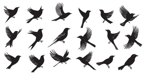 Obraz premium Bird silhouettes, perched, flying, white background.