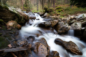 Arroyo en el Abedular