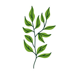 Obraz premium Leaf vector colorful on transparent background