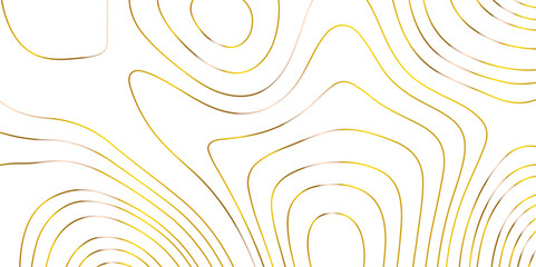 Abstract topographic map contour, white background and colorful wave lines pattern texture. geographic contour map grid backdrop paper texture. terrain path isolated on a background.