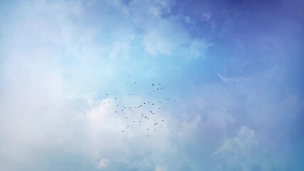 Starlings in Pattern Flight Blue Cloudy Sky 4K Loop features a blue sky with moving clouds and a flock of Starling birds flying together in a pattern or murmuration in a loop. 