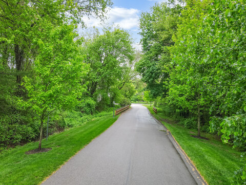paved road with trees and grass on either side
