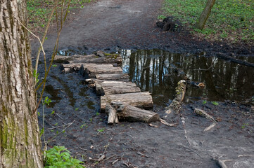 A large muddy puddle covers a forest path in spring. Several logs lie across the puddle, forming a makeshift bridge to cross. The logs are unfastened and rest directly in the water. 