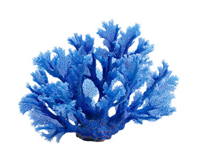 Vibrant coral reef structure for marine decoration and design