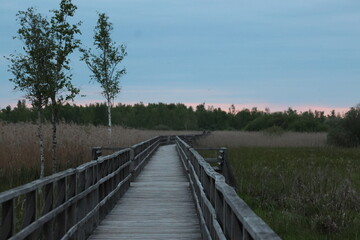 Sunset on the Federseesteg