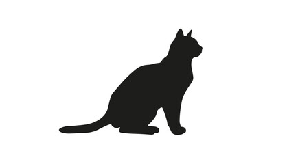 Silhouette of a domestic cat sitting on the floor