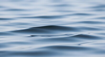 Minimalist water surface with soft wave textures