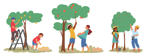 Fototapeta premium Little children characters plucking ripe pear, apricot, cherry fruits from tree cartoon scene