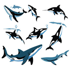 Fototapeta premium illustrations vector design for sea beach marine creatures icon sword tail fish design items 