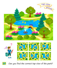 Logic puzzle game for children and adults. Can you find the correct top view of the park? 3D maze. Printable page for brain teaser book. Developing spatial thinking. IQ test. Flat vector illustration