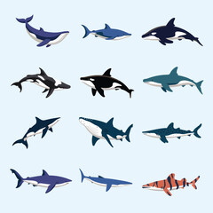 illustrations vector design for sea beach marine creatures icon sword tail fish design items
