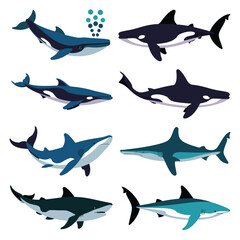 Fototapeta premium illustrations vector design for sea beach marine creatures icon sword tail fish design items 