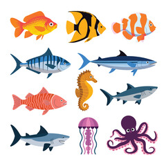 illustrations vector design for sea beach marine creatures icon sword tail fish design items
