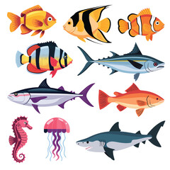 illustrations vector design for sea beach marine creatures icon sword tail fish design items
