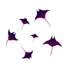 Set of hand drawn silhouettes of manta. Marine animals vector collection. Underwater stingray creatures