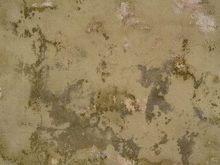 Old damp wall with peeling plaster, mold stains, and signs of decay. Natural grunge texture for backgrounds, urban art, or architectural deterioration themes