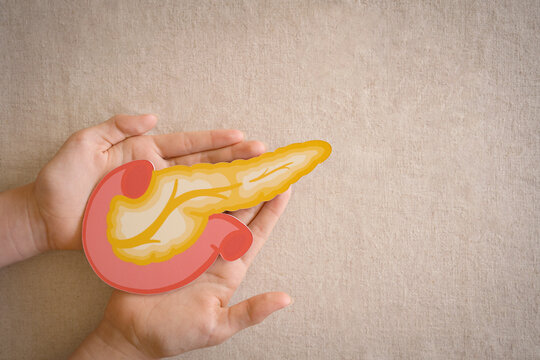 hands holding pancreas, pancreatitis and pancreatic cancer concept
