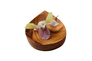 Teak wood coasters, isolated white.