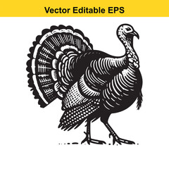 A majestic turkey in black and white, vector illustration, Thanksgiving