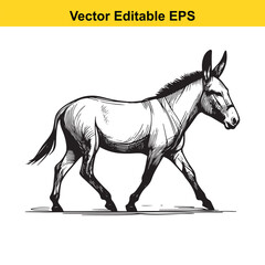 Hand-drawn illustration of a donkey walking, black and white vector EPS