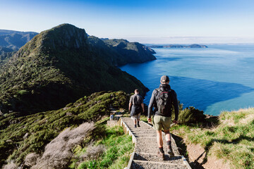 Hikers descend wooden steps on a trail overlooking the ocean in Whatipu, Auckland, New Zealand. They are enjoying the outdoors and the beautiful scenery.