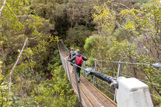 Fototapeta Hikers with backpacks cross a suspension bridge over a rocky river on The Pinnacles Trek, Coromandel Peninsula, New Zealand. They are enjoying the outdoors and exploring.