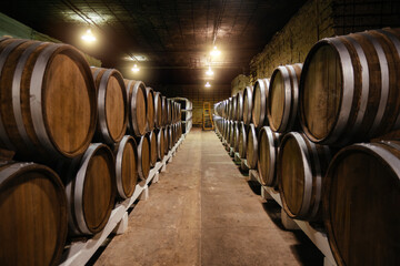 Wine barrels in underground wine cellar