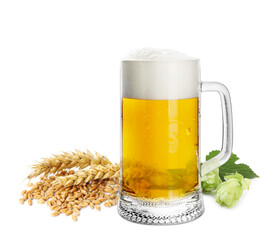 Fresh beer in glass mug with hop flowers and ears of wheat on white background