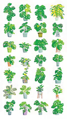 Fototapeta premium Botanical Paradise: Indoor Potted Plants and Tropical Foliage Illustration - Art Print Featuring Decorative Monstera Leaves for a Nature-Inspired Home Decor