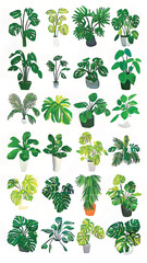 Fototapeta premium Lush Potted Plants and Botanical Illustrations: Eco-Friendly Home Decor with Leafy Green Nature Designs