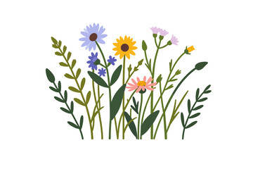 Colorful Wildflower Meadow Illustration - Charming Floral Design with Daisies and Foliage - Ideal for Spring and Summer Projects - Botanical Art