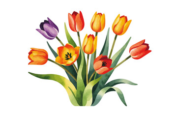 Watercolor Tulips Bouquet Illustration - Vibrant Spring Flowers in Bloom - Artistic Floral Arrangement for Backgrounds and Designs