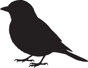 Bonelli’s Warbler Silhouettes Vector Pack